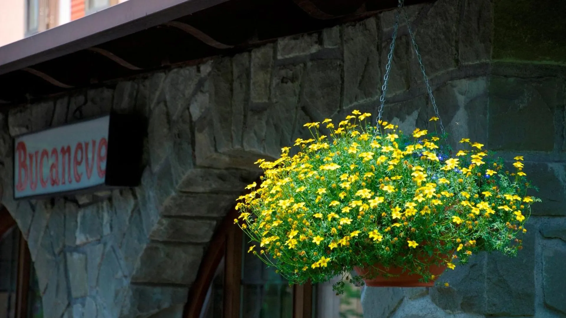 Albergo Bucaneve Pievepelago 3*,  Italy